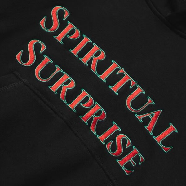 Hoodie Boxy Spiritual Surprise