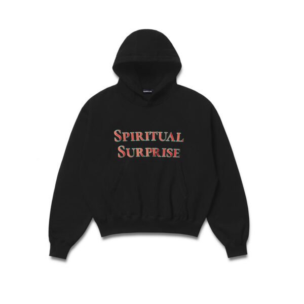 Hoodie Boxy Spiritual Surprise