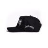 Caps Lion Crown